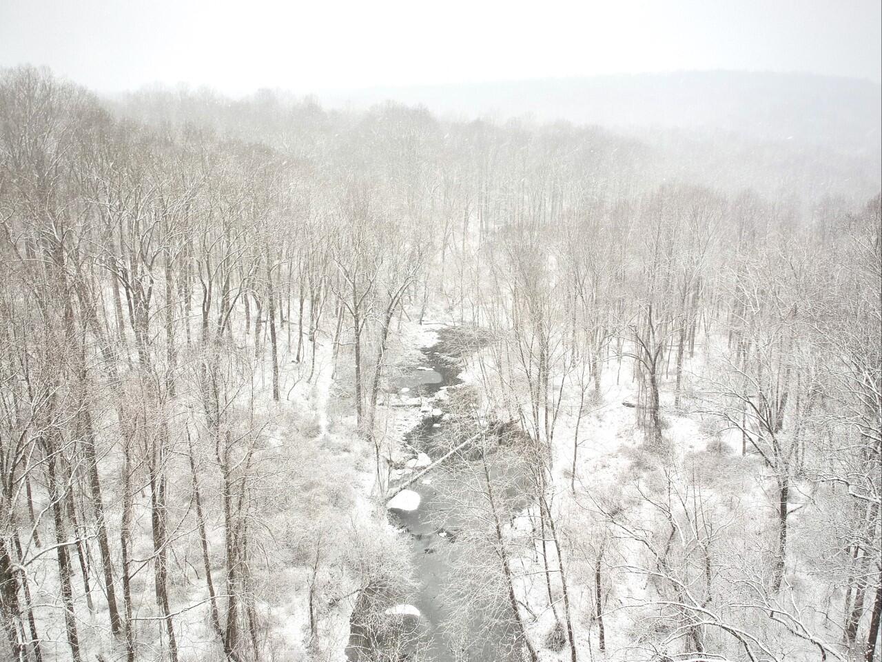 North Fork Patapsco River