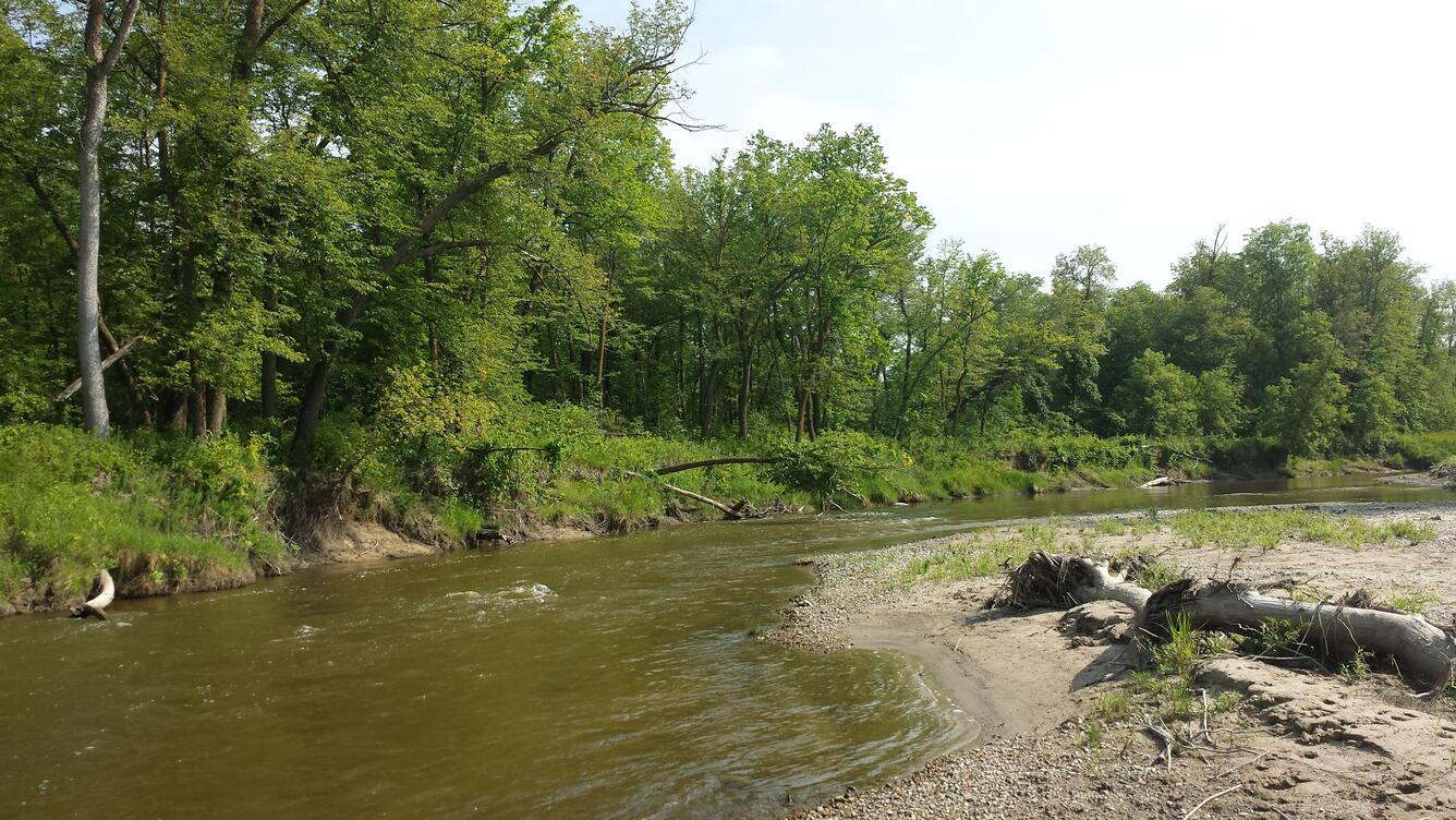 Wild Rice River Sediment Depositional Area