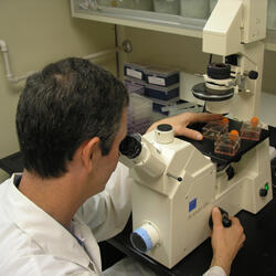 William Batts - Profile Image