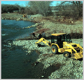 Willow Planting on Colorado stream