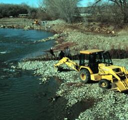 Photo showing willow planting