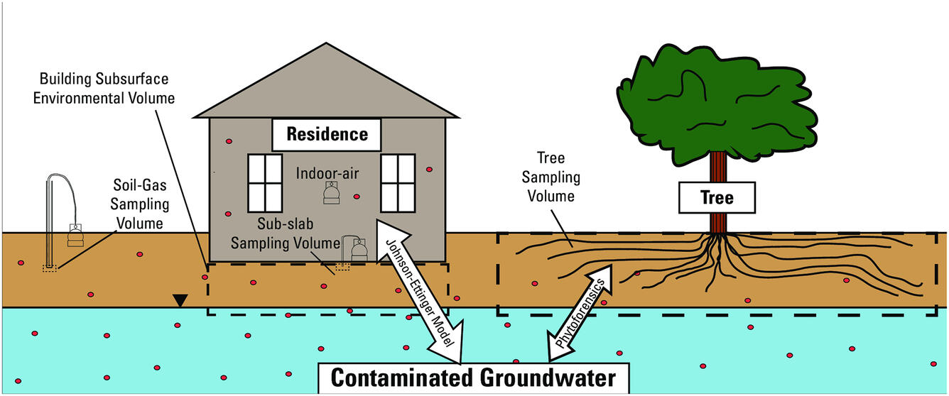 Trees as bioindicators of potential indoor exposure via vapor intrusion