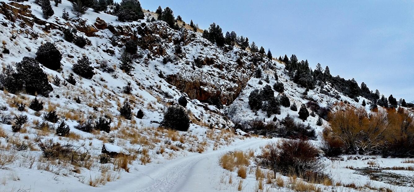 NDTc - Winter Solace