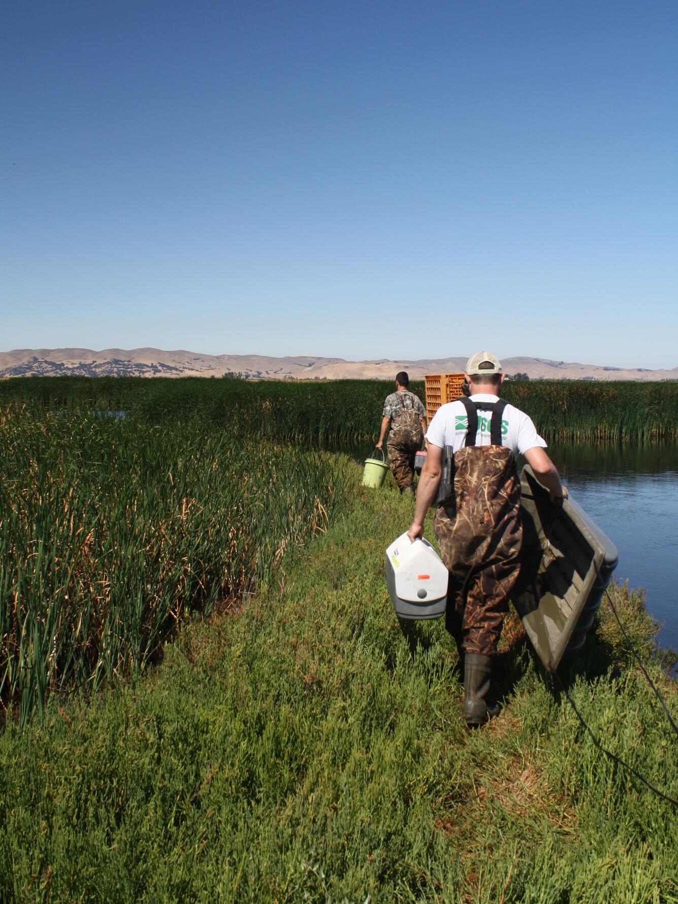 suisun marsh