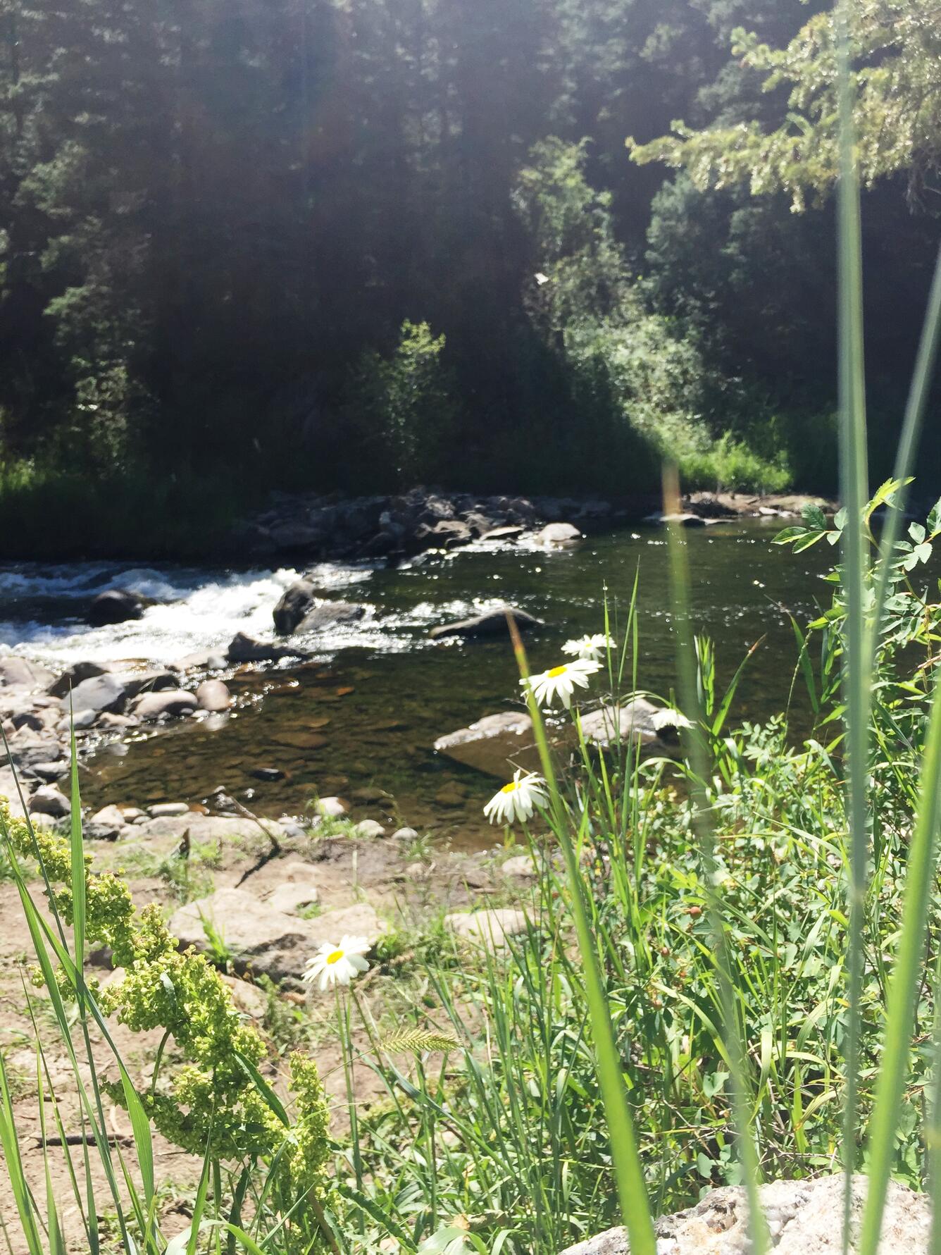 The Yampa River, Steamboat, Colorado. Photo by Mindy Ritchie, USGS.
