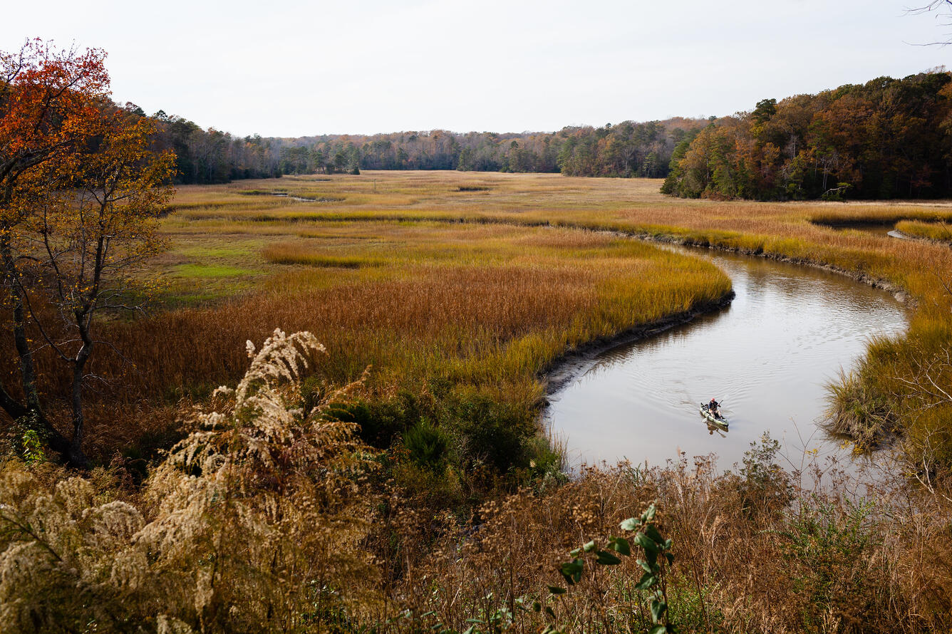 Taskinas Creek at York River State Park in James City County, Va