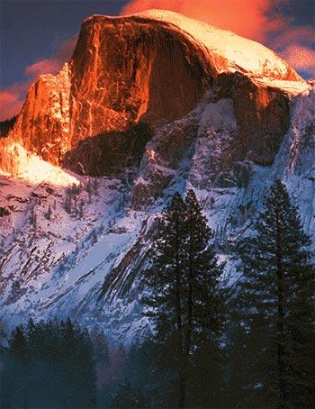WERC Yosemite Field Station