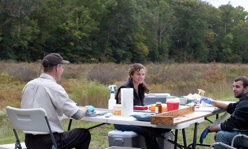 fish sampling