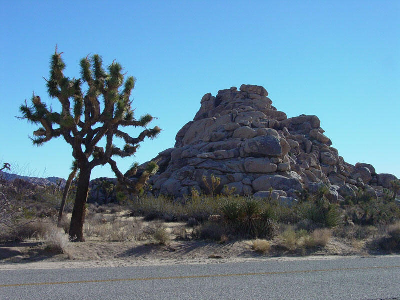 Quail Springs Picnic Area