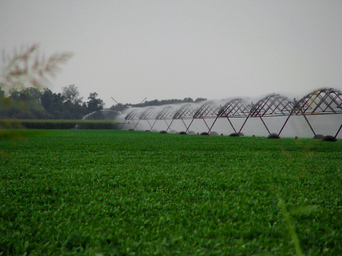 Sprinkler irrigation