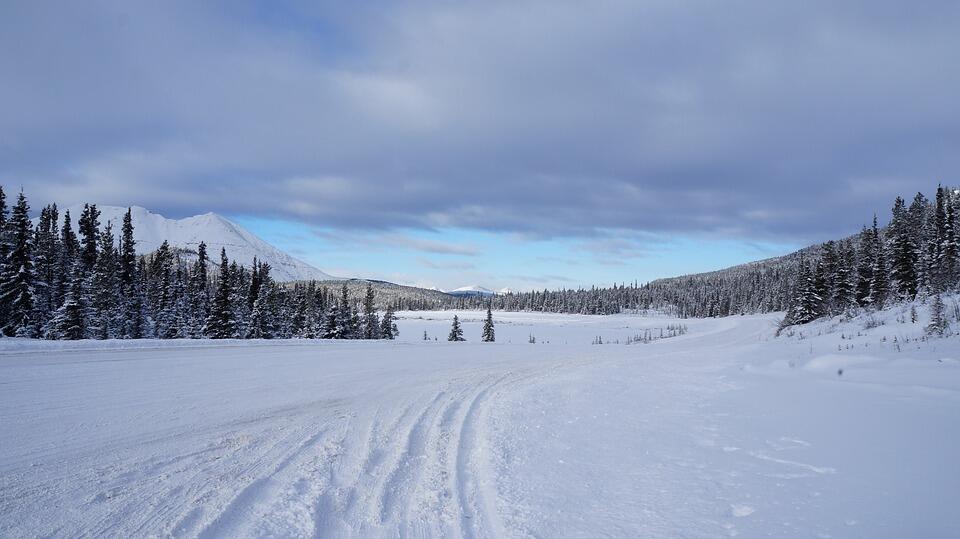 Flat, snow-covered landscape with pine trees and low mountains in the distance