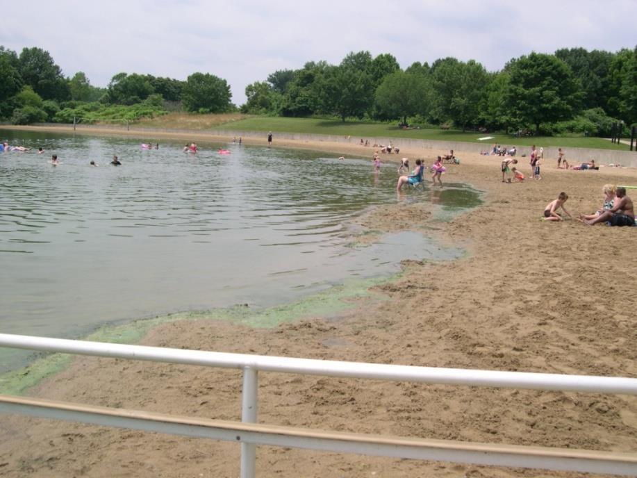 Algae bloom - Worster Lake at Potato Creek State Park