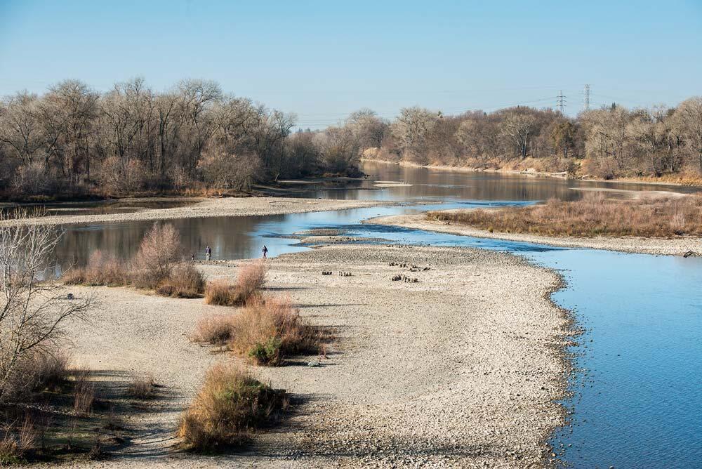 A picture of low water levels of the American River 