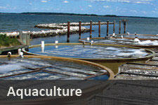 Aquaculture water use