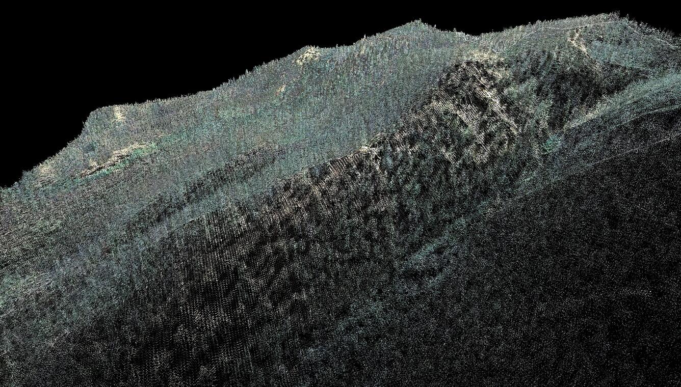Arkansas All Point 3D