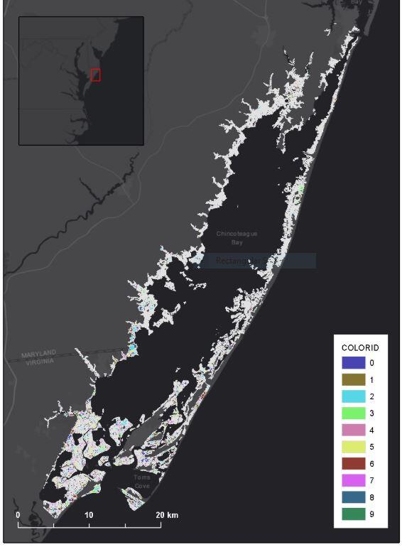Browse graphic for Assateague Island dataset
