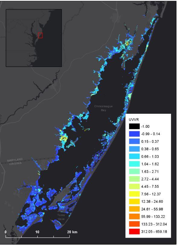Browse graphic of study area for Assateague Island dataset