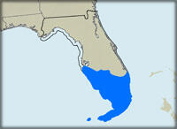 Province 5050 South Florida Basin, Oil and Gas Assessments