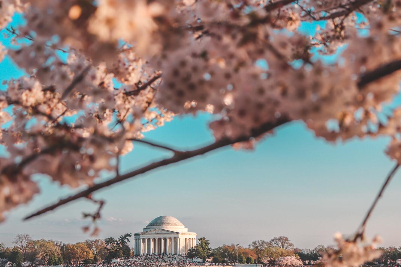 Jefferson Memorial with cherry blossoms, Washington, D.C., USA