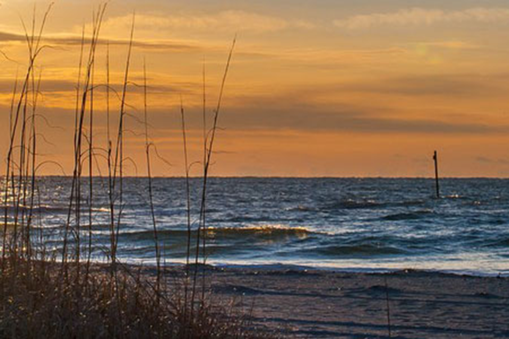 Water Census: Coastal Carolinas