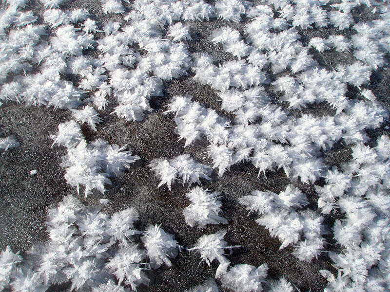 Frost ice crystals at -10°F