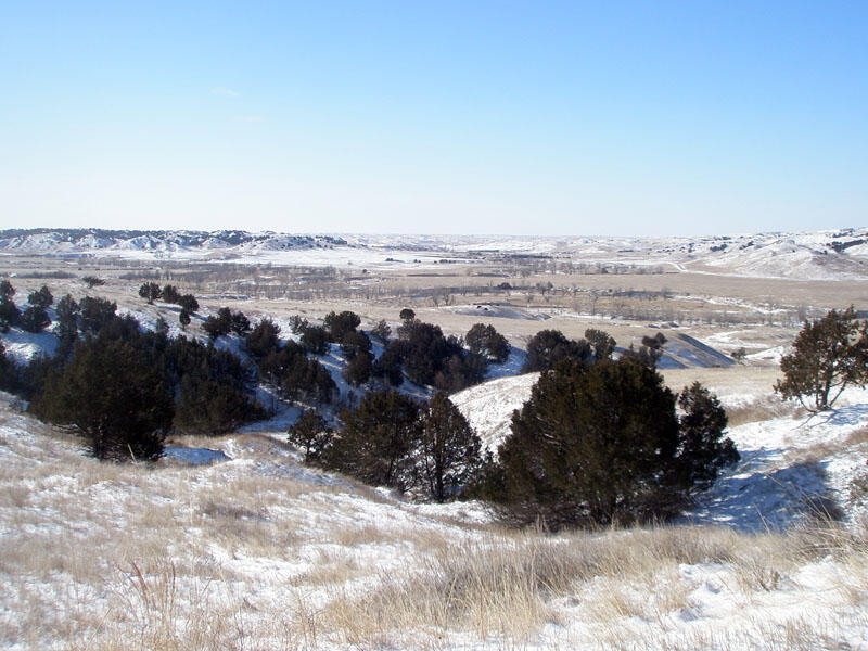 Sage Creek Valley	