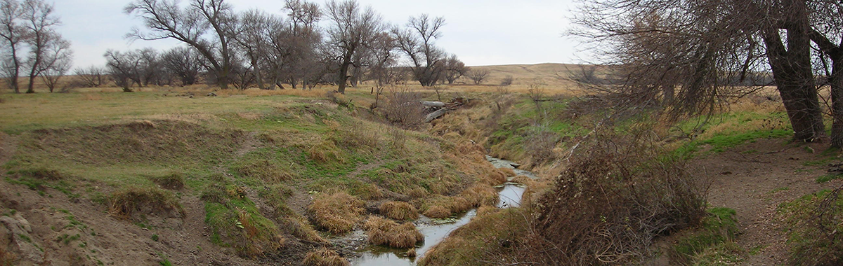 Stream in the Elkhorn-Loup River Basin, Nebr.
