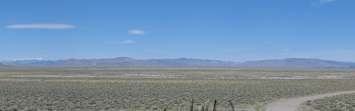 Panoramic view of the Middle Carson River Basin, Nev.