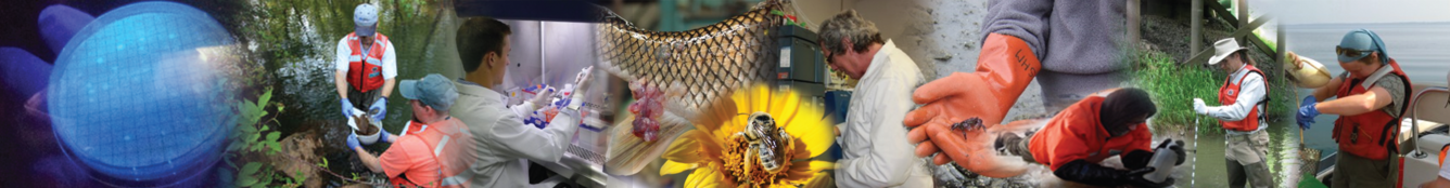 GeoHEALTH - USGS newsletter banner