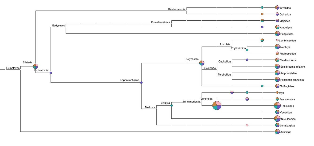 A metagenomics chart