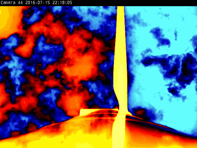 Bat approaching wind turbine GIF 2