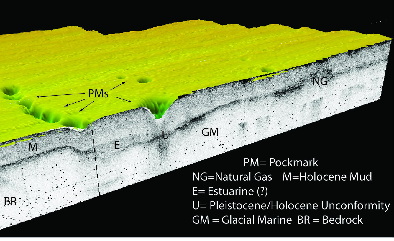 3 dimension view of a seismic profile draped under bathymetry