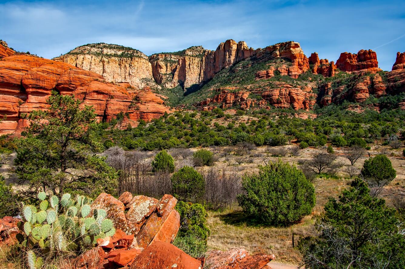 Landscape showing blue sky bushes and cactus