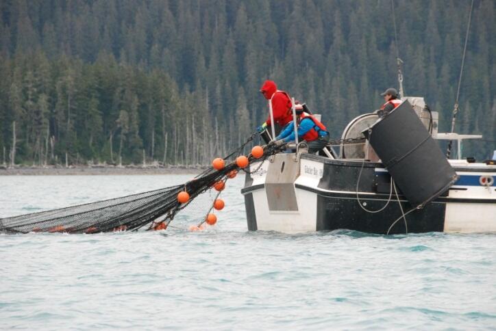 Bringing in the mid-water trawl net on the R/V Alaskan Gyre