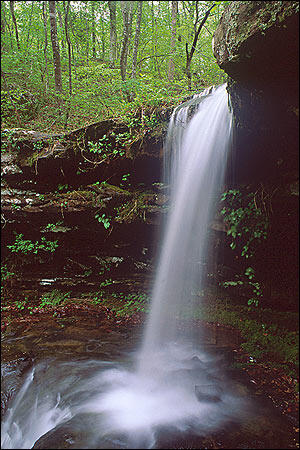 Buffalo River Dug Hollow