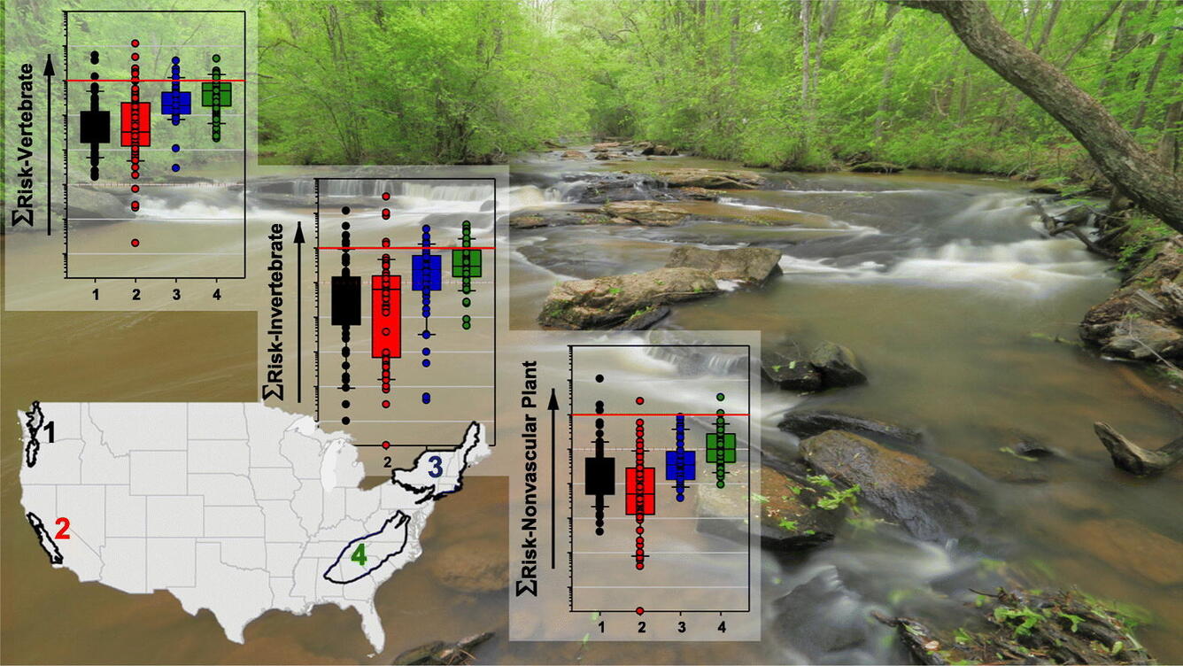Graphical abstract of the organic compound comparison