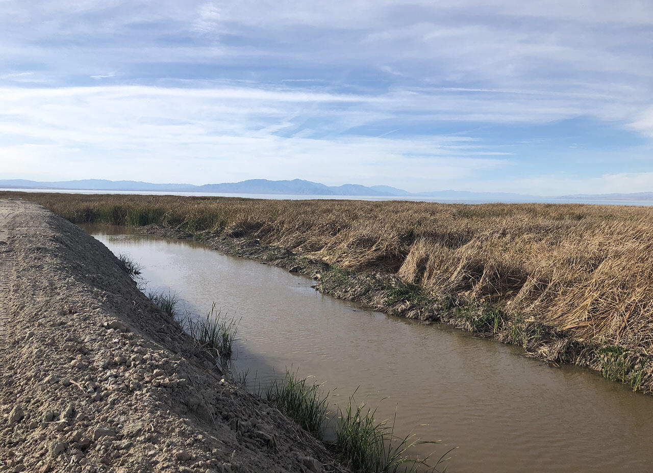 Drain carrying runoff from farm fields in Imperial Valley
