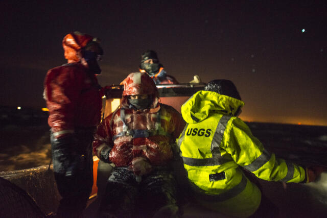 A frigid crew of USGS biologists search for diving birds in the Chesapeake Bay.