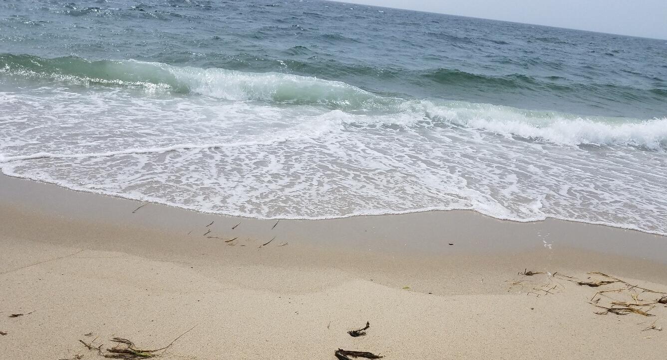 Cape Cod National Seashore