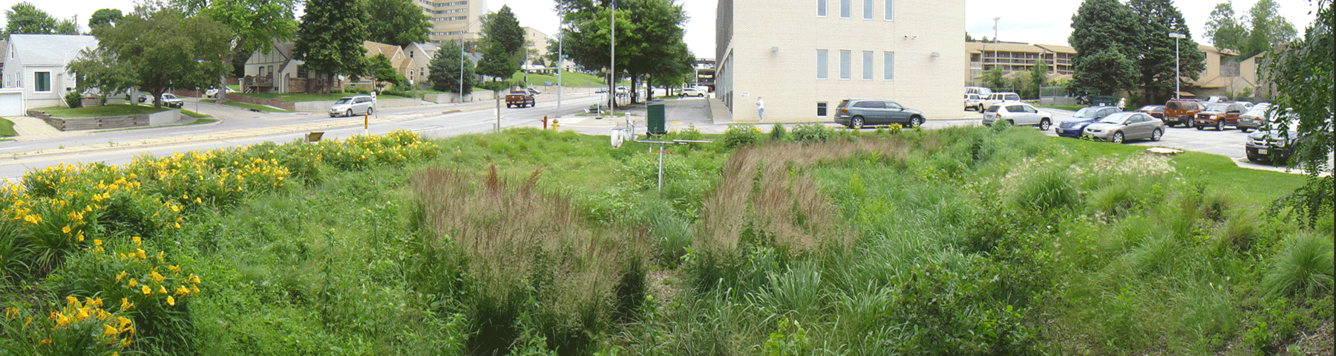 Bioretention cell at the Eastern Nebraska Office on Aging