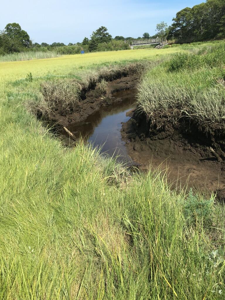 Photograph of a salt marsh creek at low tide with a bridge in the background