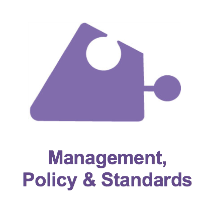 Management, Policy & Standards icon
