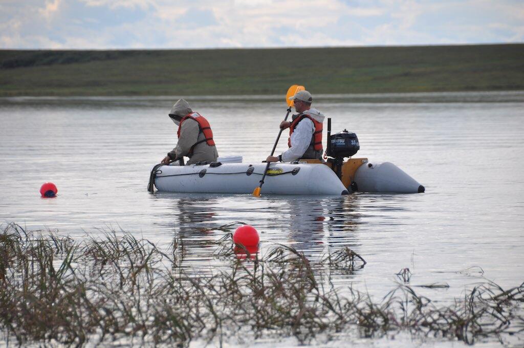 Checking nets from a boat near Atqasuk, Alaska