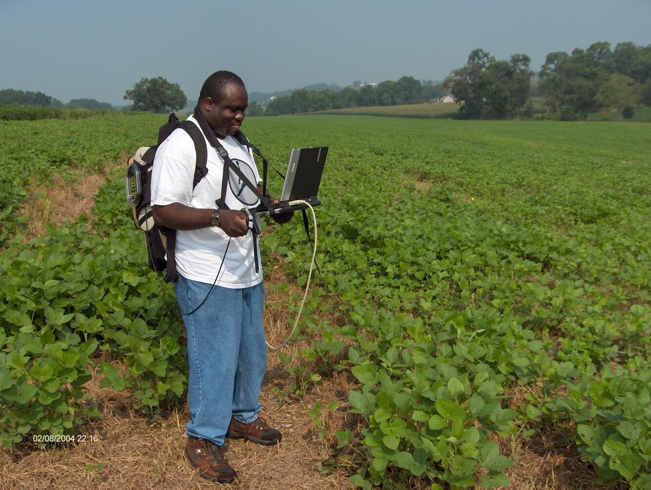 A man with a laptop stands amongst lines of crops in a farm