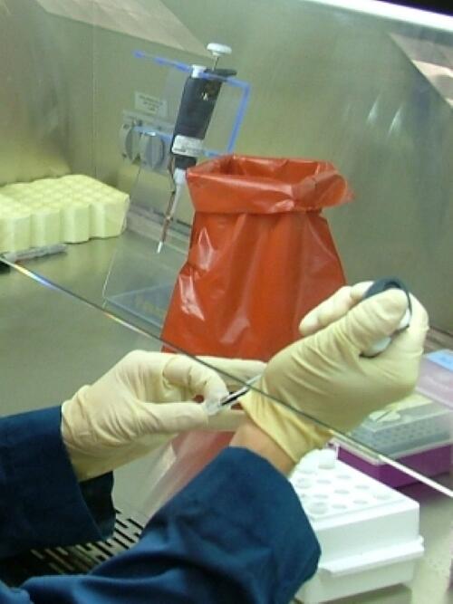 OWML Pipette usage - Chris Kephart