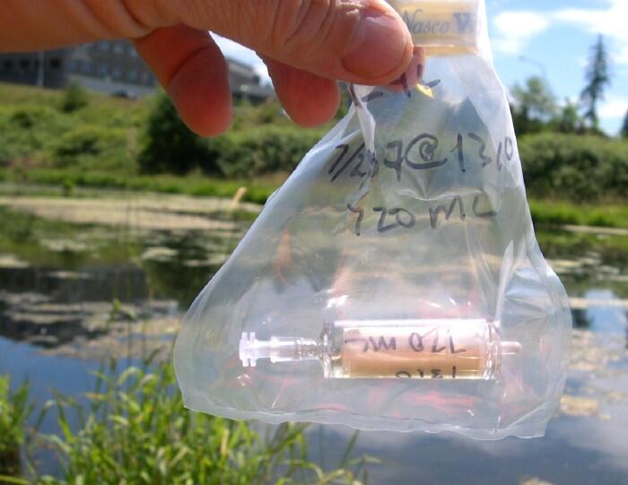 USGS biologists and hydrologists are investigating the causes for the decline of the western toad (Bufo boreas)