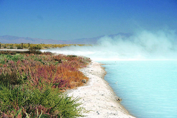 Cloud and dust over geothermal waters in Dixie Valley, Nevada