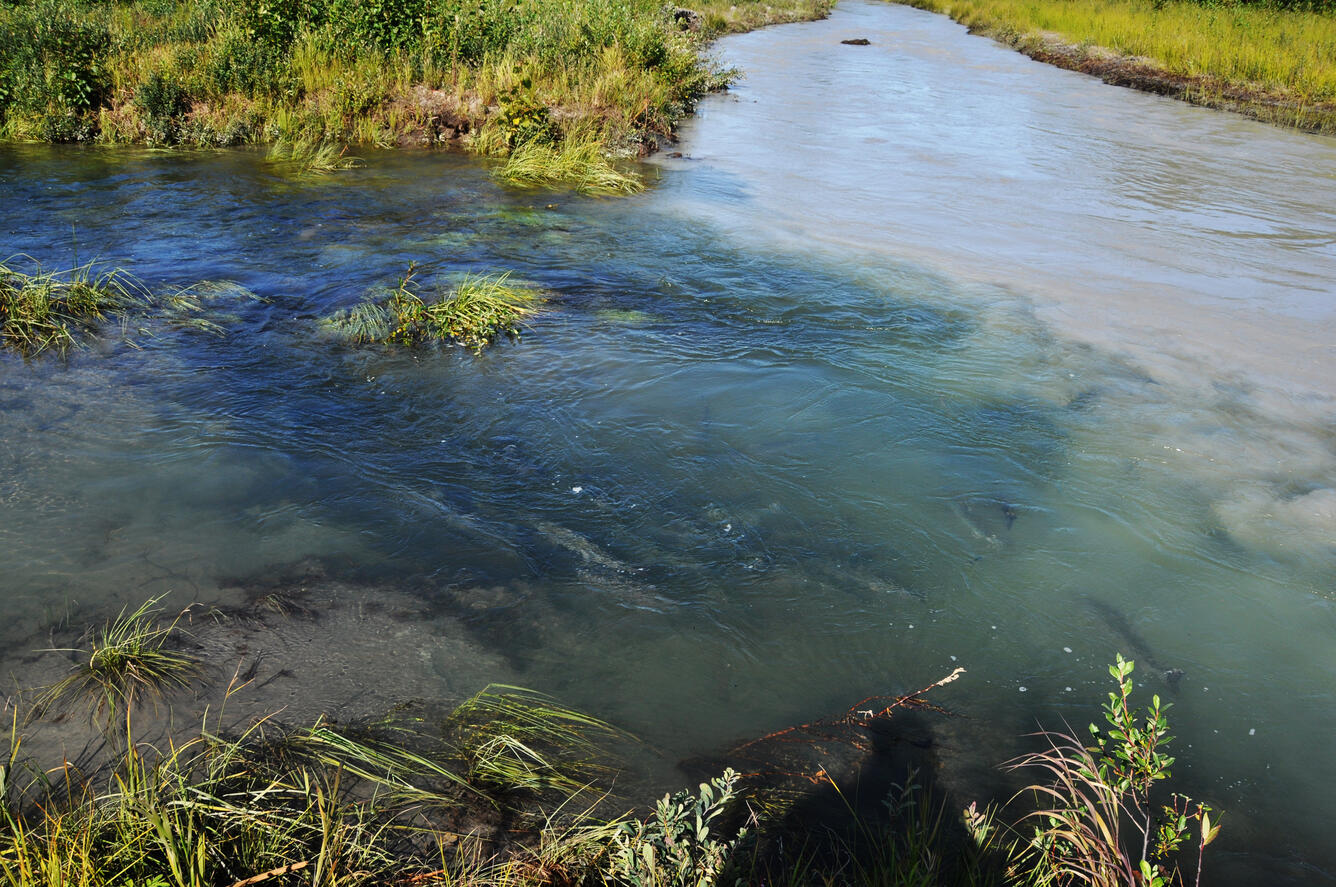 Clear Montana Bill Creek flowing into volcanically silted creek