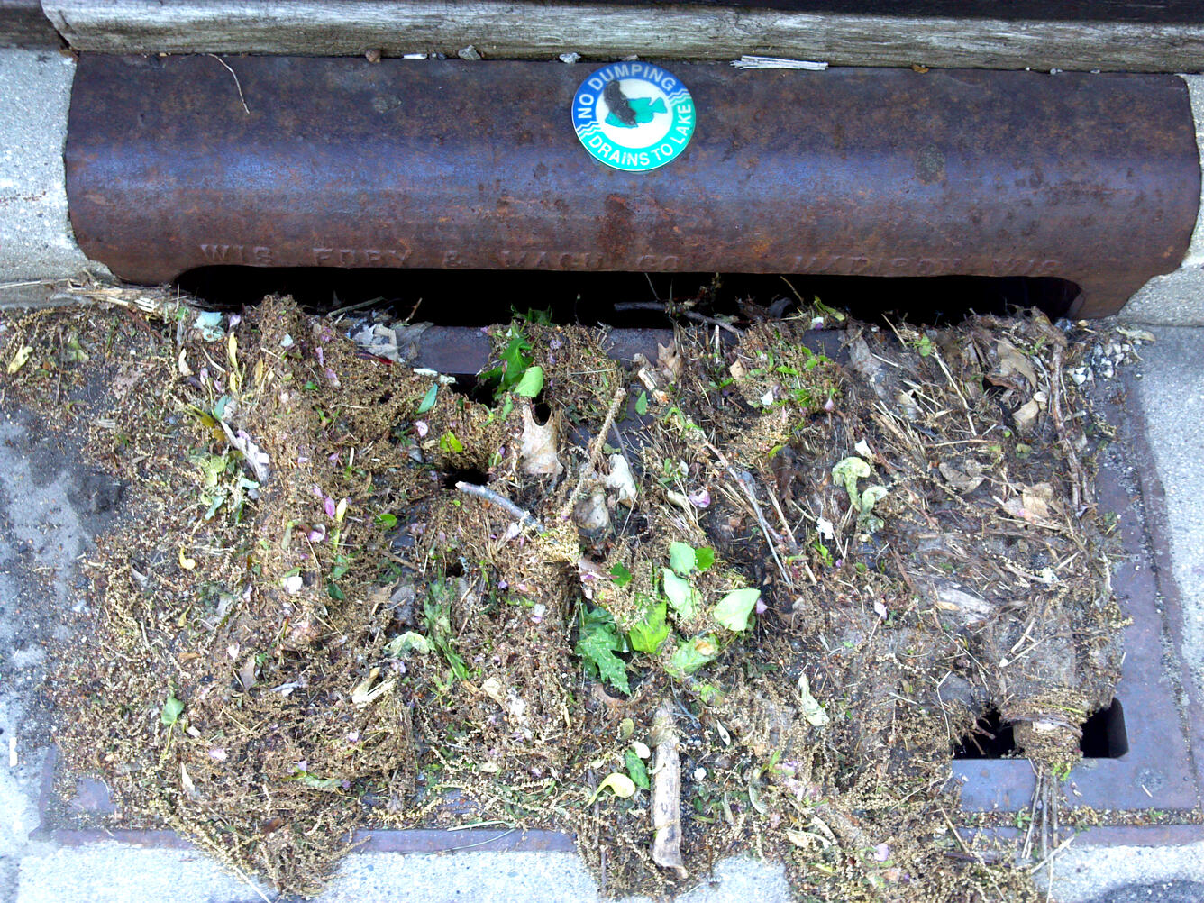 Photo of a clogged storm drain
