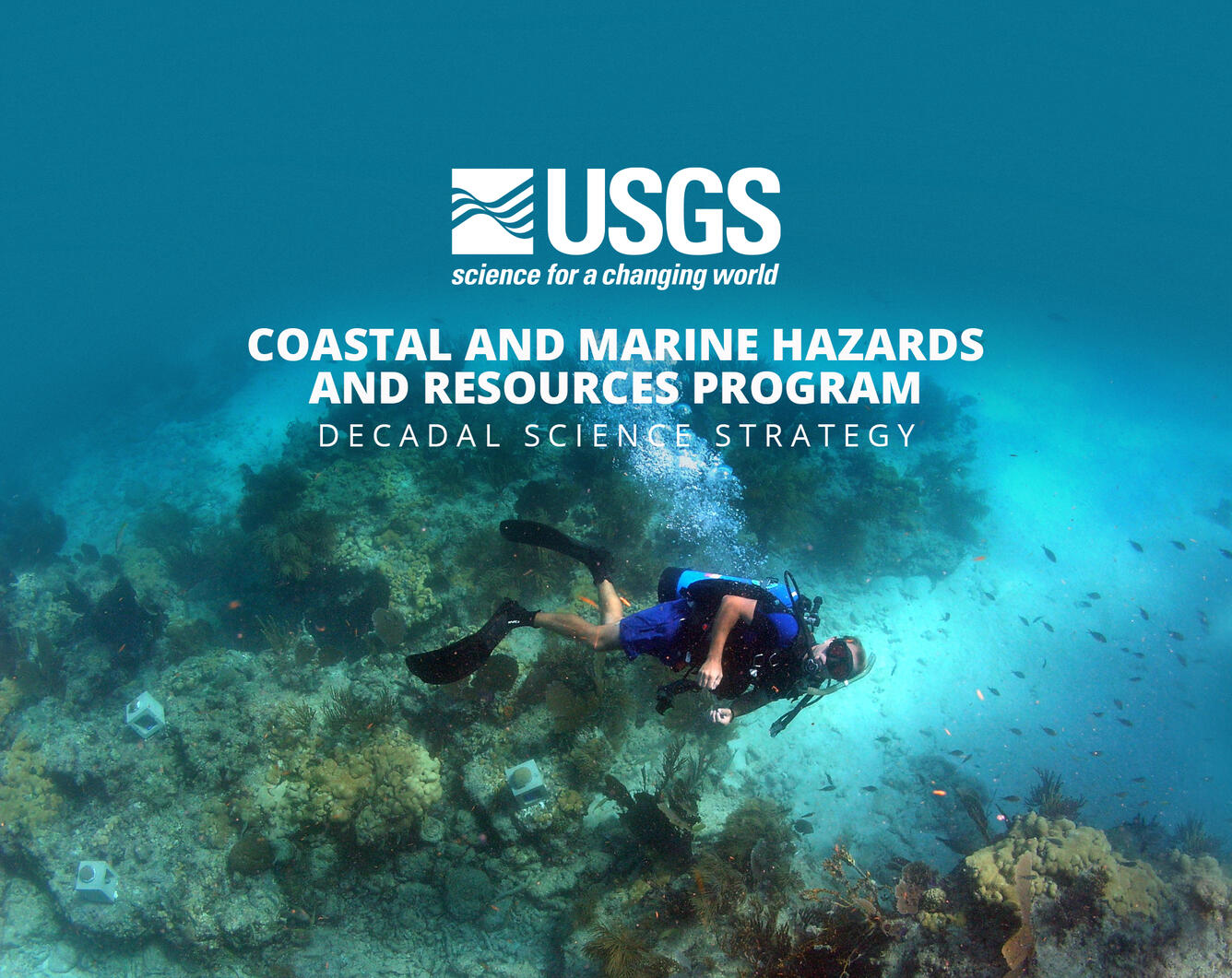 A person wearing underwater breathing equipment floats above a rocky coral reef.